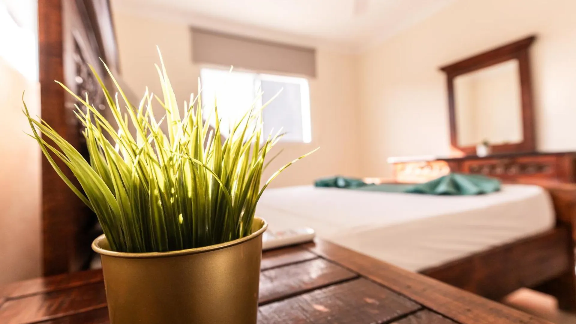 Hostal Las Rosas De Punta Cana Guest house