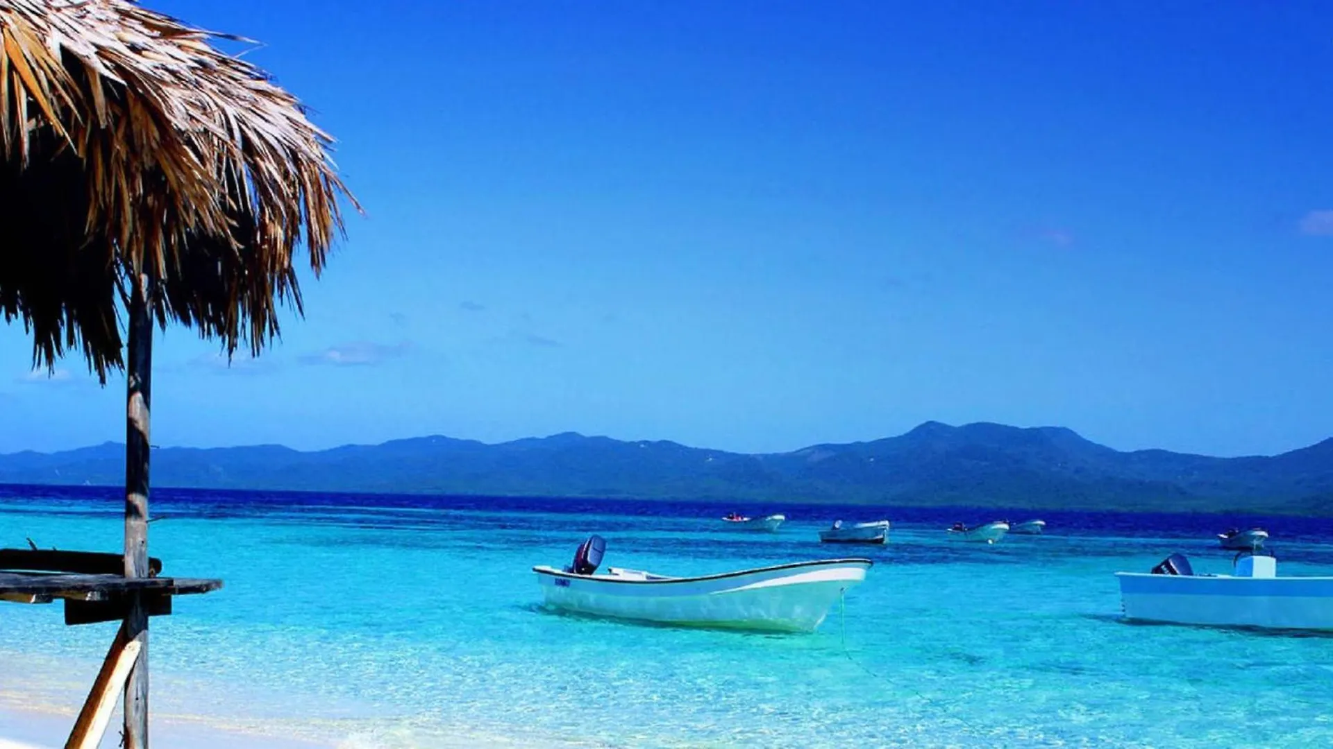 Pensión Las Rosas de Punta Cana República Dominicana